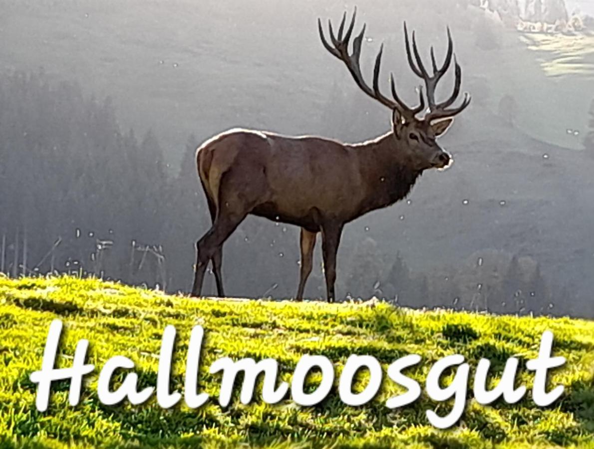 Hallmoosgut Sankt Johann im Pongau Exteriör bild
