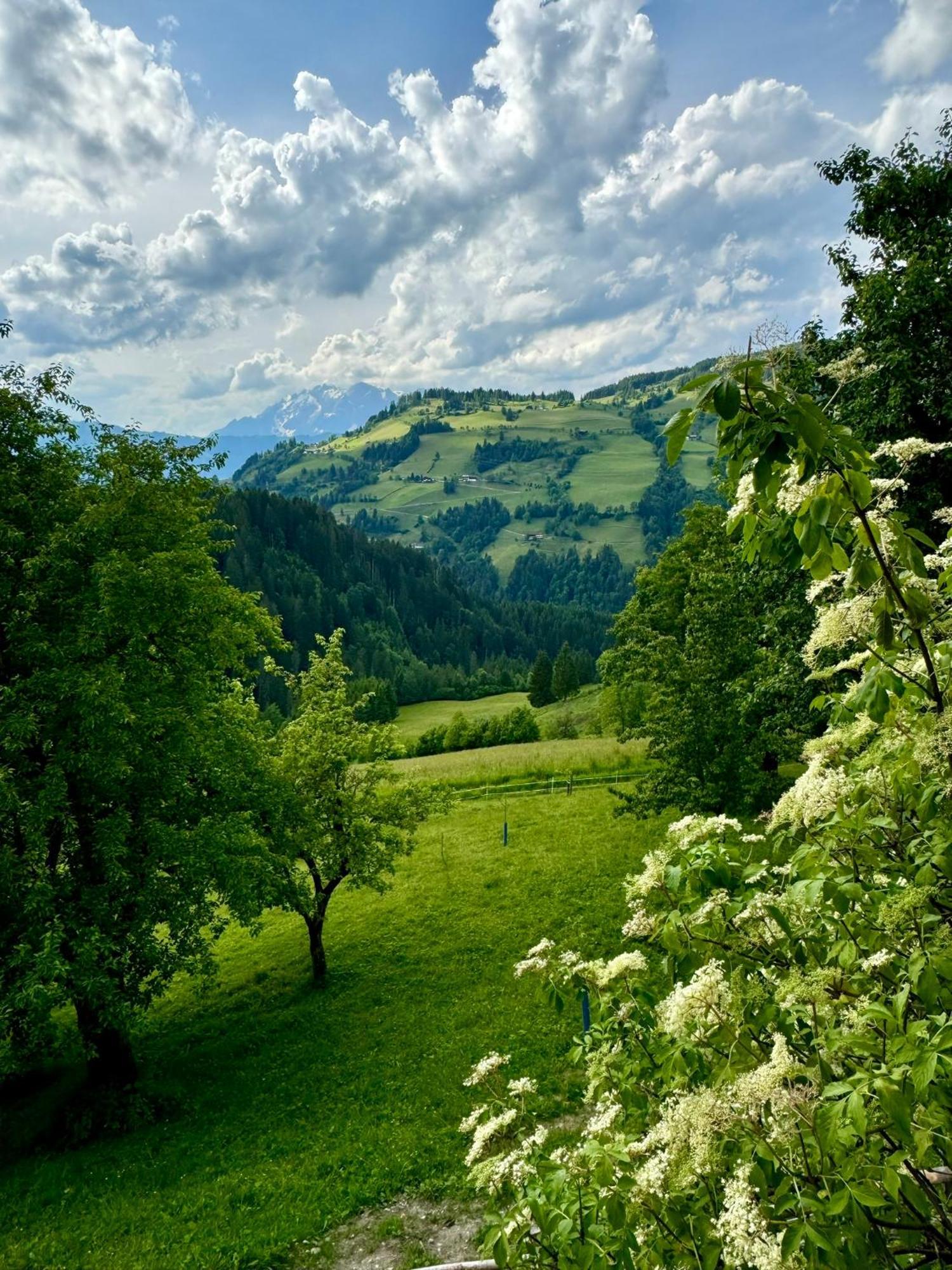 Hallmoosgut Sankt Johann im Pongau Exteriör bild